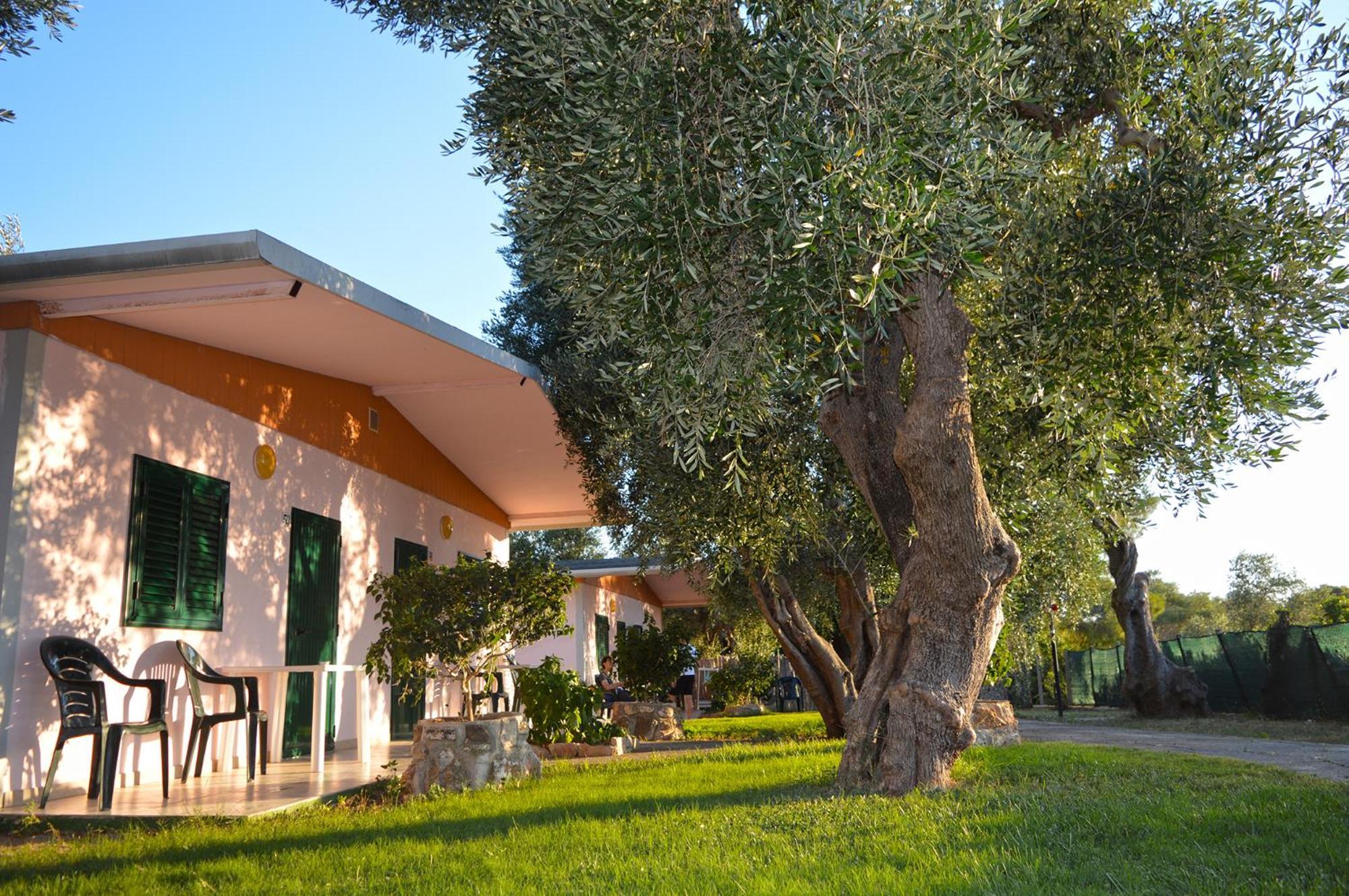 Villaggio Uliveto 로디가르가니코 외부 사진
